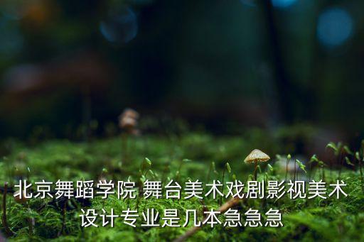 北京舞蹈学院 舞台美术戏剧影视美术设计专业是几本急急急