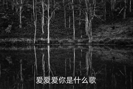 爱爱爱你是什么歌