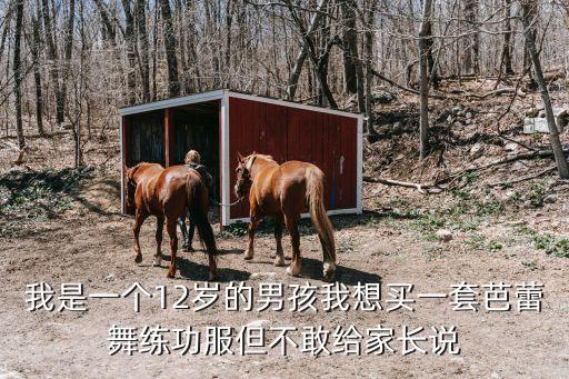 我是一个12岁的男孩我想买一套芭蕾舞练功服但不敢给家长说