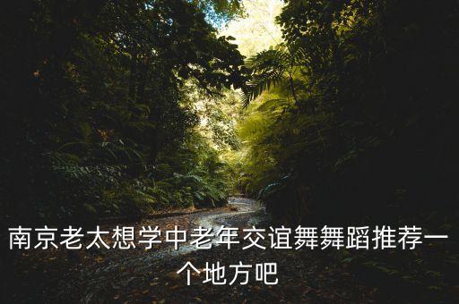 南京老太想学中老年交谊舞舞蹈推荐一个地方吧