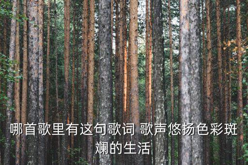哪首歌里有这句歌词 歌声悠扬色彩斑斓的生活