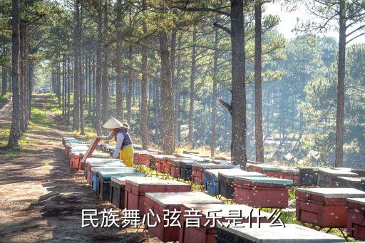 中国民族舞蹈协会都是什么歌，初中民族歌舞晚会唱什么歌