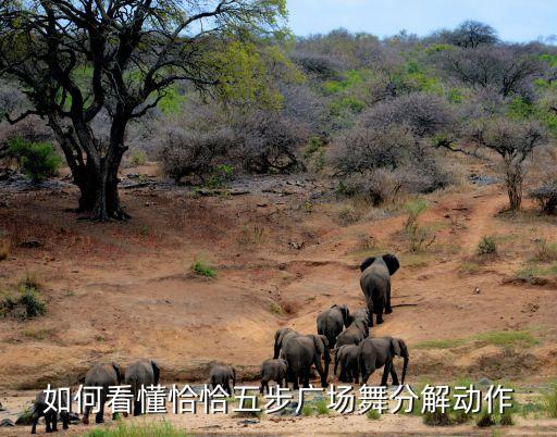 广场舞教程慢动作视频，鬼步广场舞60步慢动作分解一分钟就就可以学会了超级简单实用是