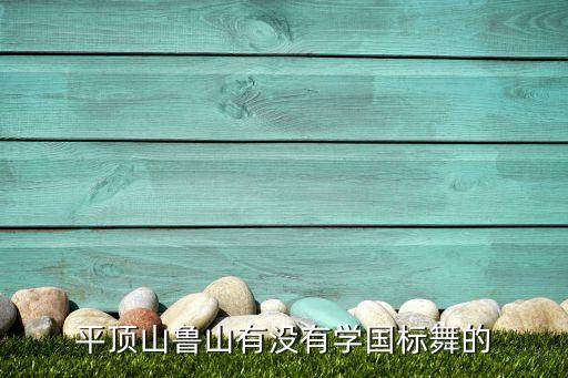平顶山鲁山有没有学国标舞的