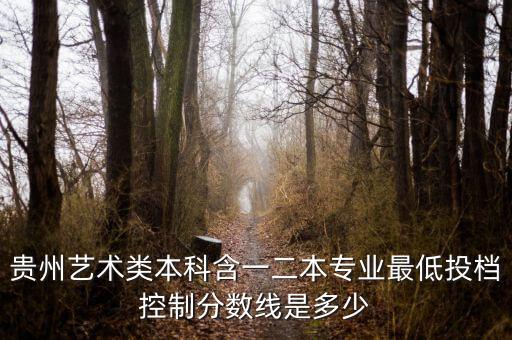 贵州艺术类本科含一二本专业最低投档控制分数线是多少