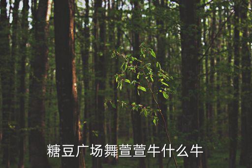 糖豆广场舞萱萱牛什么牛