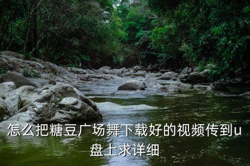 怎么把糖豆广场舞下载好的视频传到u盘上求详细