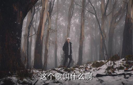 这个歌叫什么啊