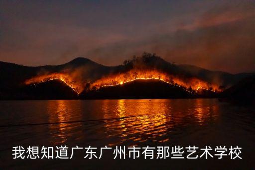 广东舞蹈大学排名，广东有什么比较好的舞蹈学校啊