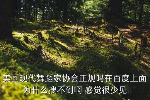 美国现代舞蹈家协会正规吗在百度上面为什么搜不到啊 感觉很少见