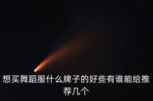 想买舞蹈服什么牌子的好些有谁能给推荐几个