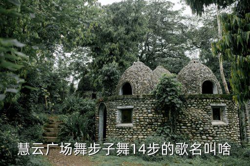 步子舞36是什么音乐，慧云广场舞步子舞14步的歌名叫啥