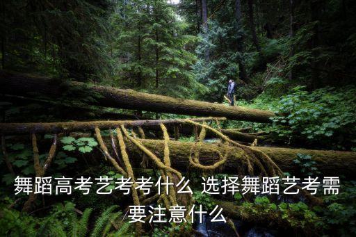 舞蹈高考艺考考什么 选择舞蹈艺考需要注意什么