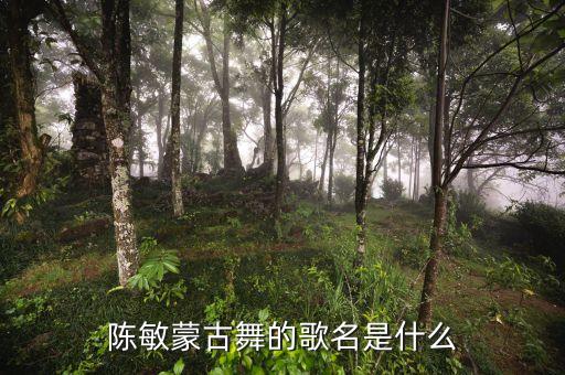 陈敏蒙古舞的歌名是什么