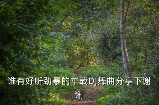dj舞曲 劲爆车载在线，谁有好听劲暴的车载DJ舞曲分享下谢谢