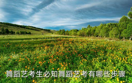 舞蹈艺考生必知舞蹈艺考有哪些步骤