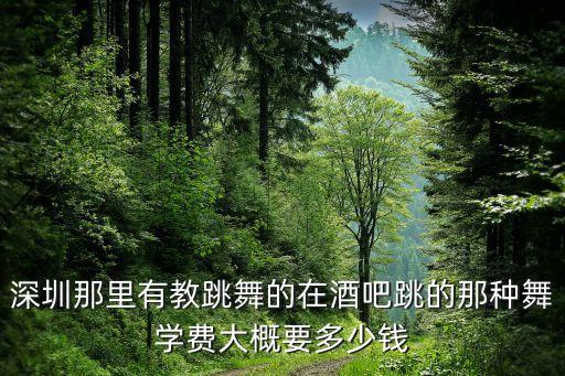 深圳那里有教跳舞的在酒吧跳的那种舞学费大概要多少钱
