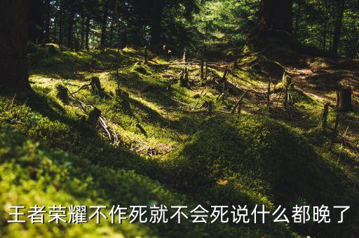 王者荣耀不作死就不会死说什么都晚了