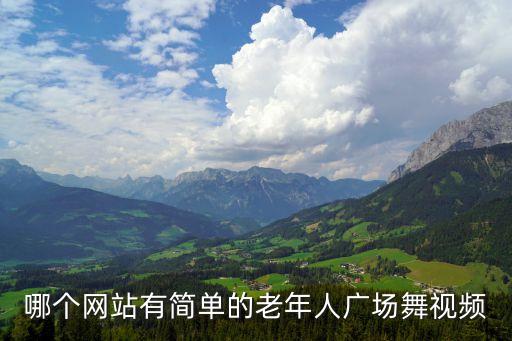 哪个网站有简单的老年人广场舞视频
