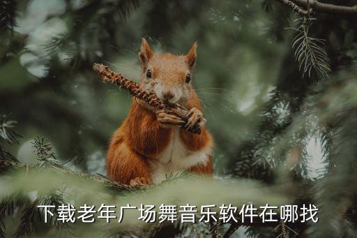 下载老年广场舞音乐软件在哪找