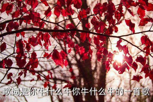 歌词是你牛什么牛你牛什么牛的一首歌