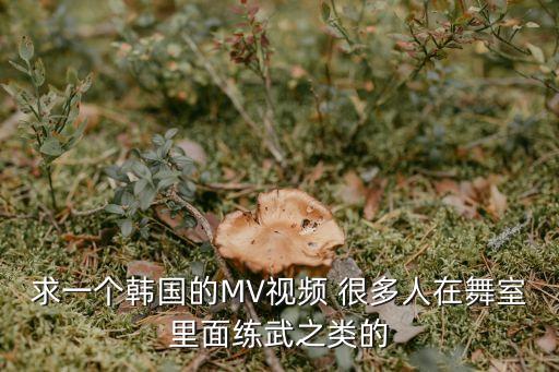 求一个韩国的MV视频 很多人在舞室里面练武之类的
