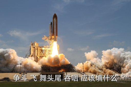 争斗 飞 舞头尾 吞咽 应该填什么