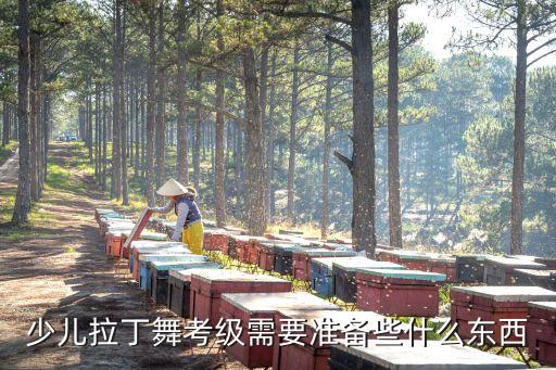 少儿舞蹈考级都有什么，你好我想请教您学生考中国舞蹈家协会考级都应该考什么是一次考
