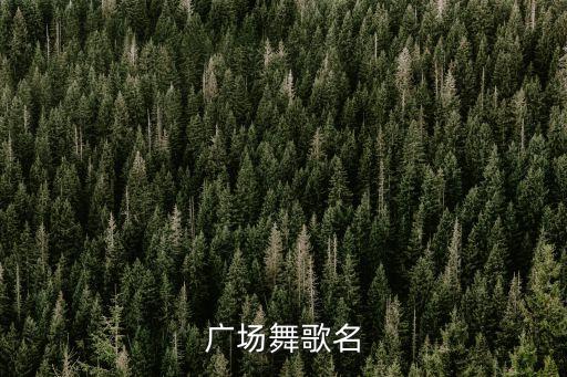 广场舞歌名