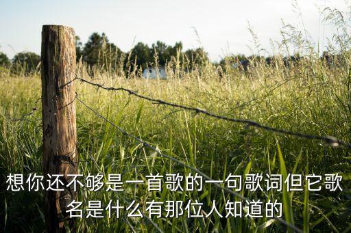 什么盛泽雨夜广场舞想你想不够，想你还不够是一首歌的一句歌词但它歌名是什么有那位人知道的