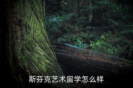 斯芬克艺术留学怎么样