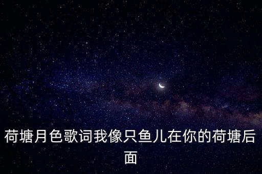 荷塘月色歌词我像只鱼儿在你的荷塘后面