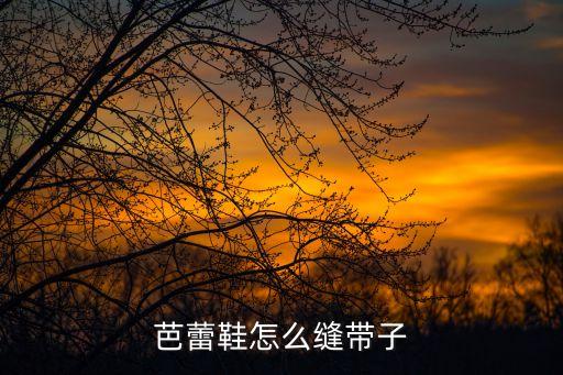 芭蕾舞鞋怎么缝鞋头，我想知道那些专业学习芭蕾舞的舞者新买的芭蕾舞鞋是怎么加工