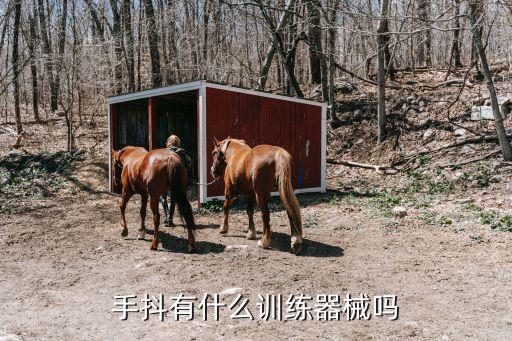 手抖有什么训练器械吗