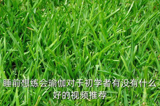 睡前想练会瑜伽对于初学者有没有什么好的视频推荐