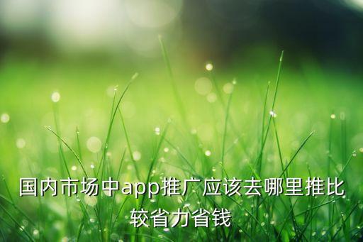 国内市场中app推广应该去哪里推比较省力省钱