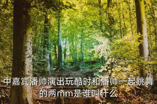 为天下最美伴舞的叫什么名字，中嘉宾潘帅演出玩酷时和潘帅一起跳舞的两mm是谁叫什么