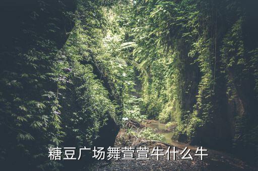 糖豆广场舞萱萱牛什么牛