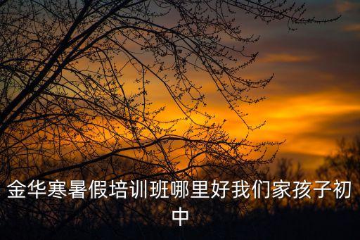 金华初中补课机构哪个好，金华哪一家初中补习班最好