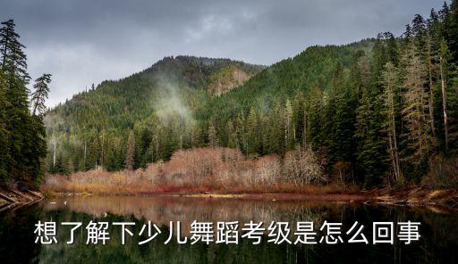 想了解下少儿舞蹈考级是怎么回事
