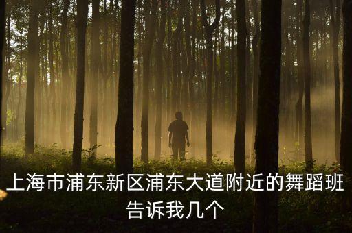 附近中老年舞蹈培训班上海，寻浦东舞蹈班近浦建路东绣路白班