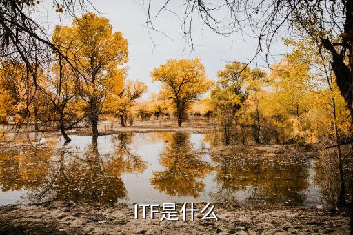 ITF是什么