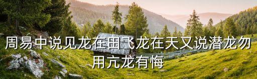周易中说见龙在田飞龙在天又说潜龙勿用亢龙有悔