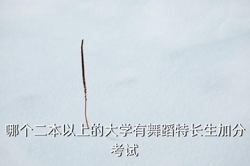 舞蹈艺考生二本有哪些学校可以报，哪些二本大学招收街舞专业