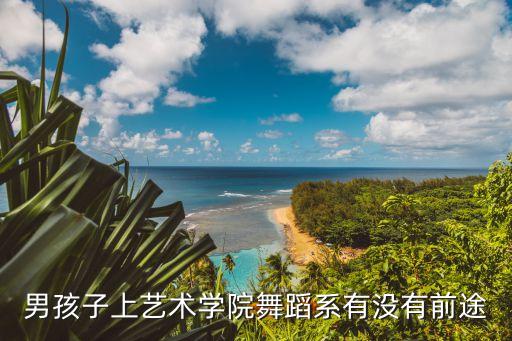 男生读舞蹈艺术学校有用吗，男孩子上艺术学院舞蹈系有没有前途