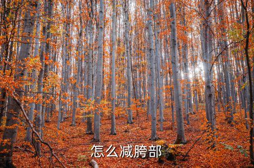 如何收髋，怎么减胯部