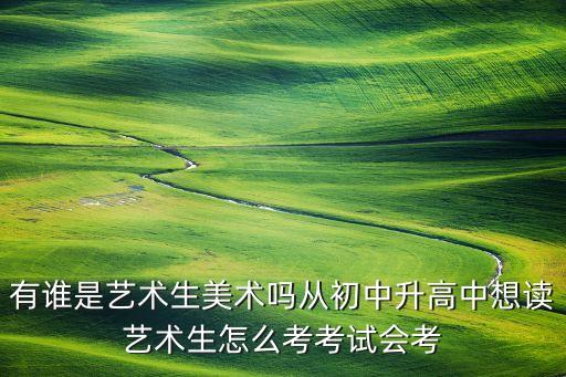 初中生怎么艺考高中，初中毕业生如何考艺术类学历 艺术类学校专业有哪些不要高中学历的