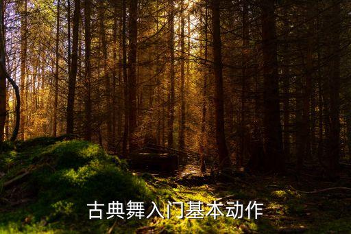 古典舞入门基本动作