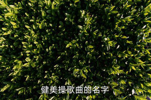 健美操歌曲的名字