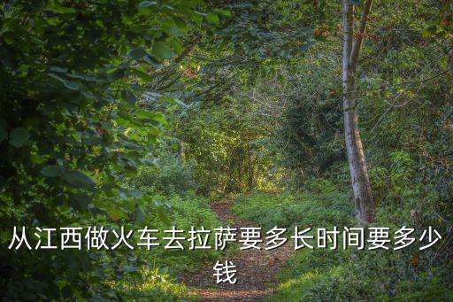 从江西做火车去拉萨要多长时间要多少钱